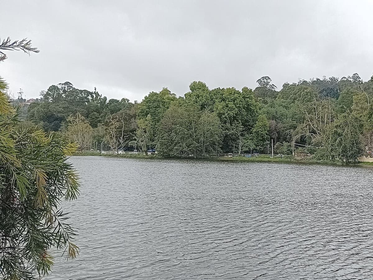 Kodaikanal — a destination Ettayee Travels drives to from Coimbatore
