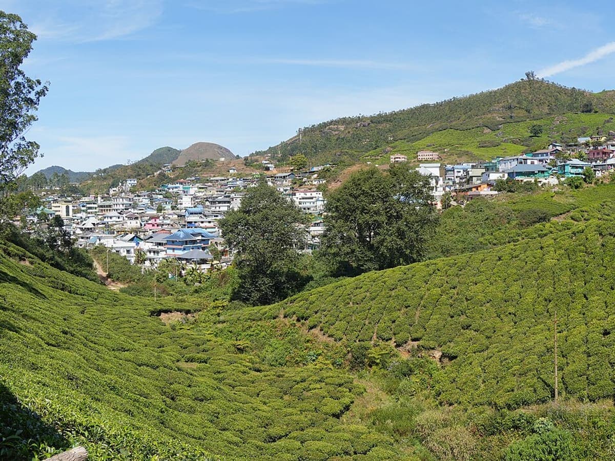 Munnar — a destination Ettayee Travels drives to from Coimbatore